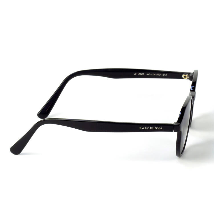 B5025-C9 Güneş Gözlüğü - 4